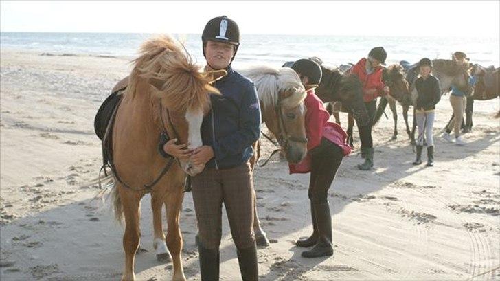 Tur ridning langs stranden i Skagen. billede 38