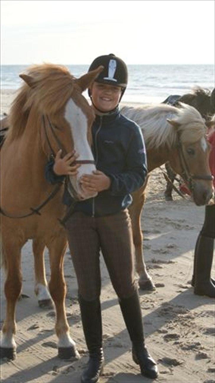 Tur ridning langs stranden i Skagen. billede 39