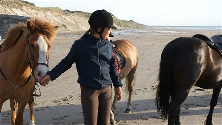 Tur ridning langs stranden i Skagen. billede 40