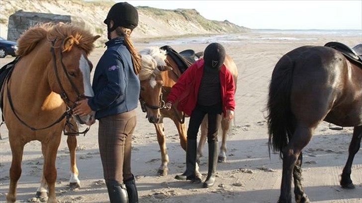 Tur ridning langs stranden i Skagen. billede 41