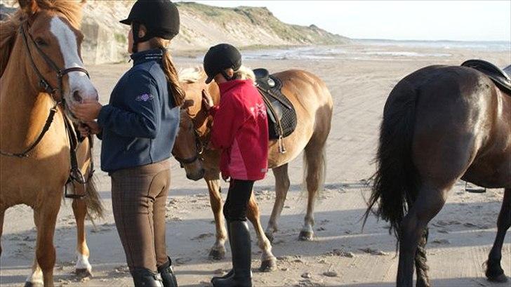 Tur ridning langs stranden i Skagen. billede 42