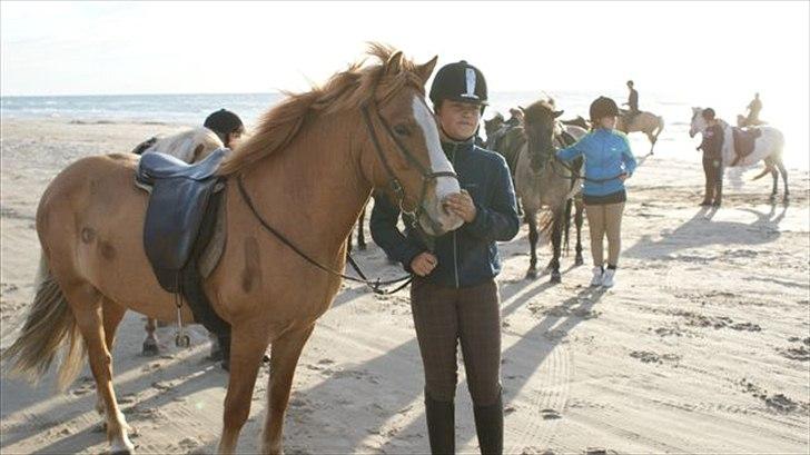 Tur ridning langs stranden i Skagen. billede 43