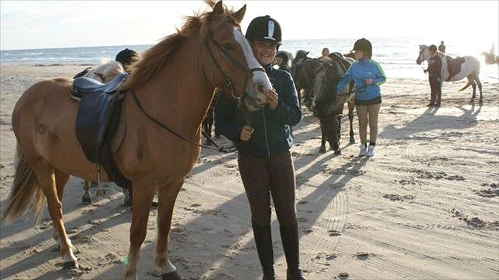 Tur ridning langs stranden i Skagen. billede 44