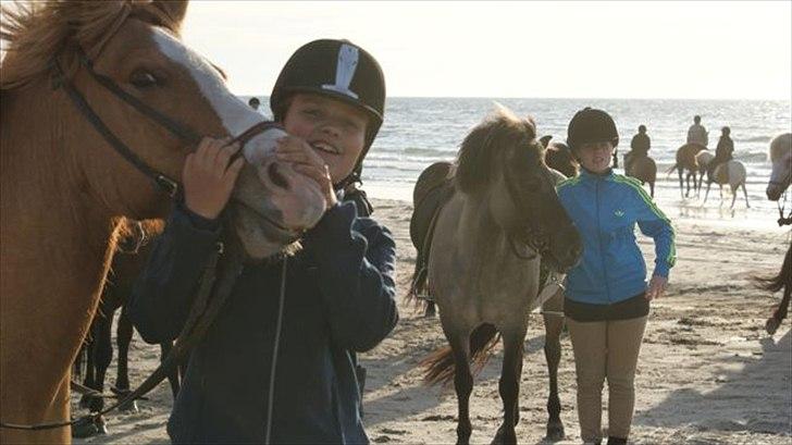 Tur ridning langs stranden i Skagen. billede 45