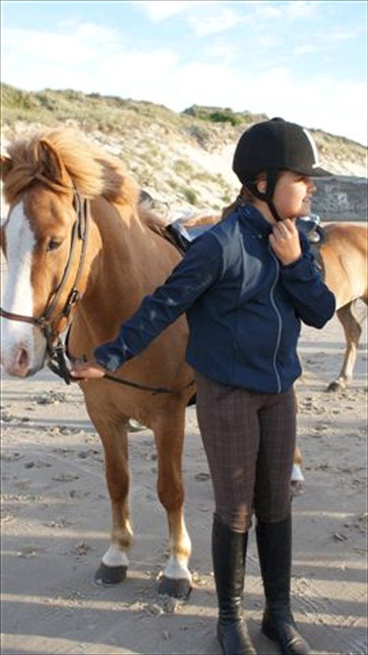 Tur ridning langs stranden i Skagen. billede 46