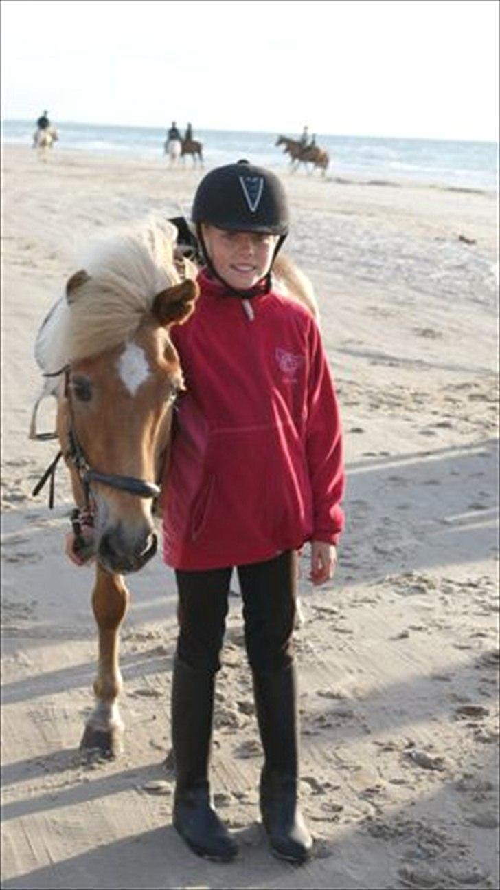 Tur ridning langs stranden i Skagen. billede 47