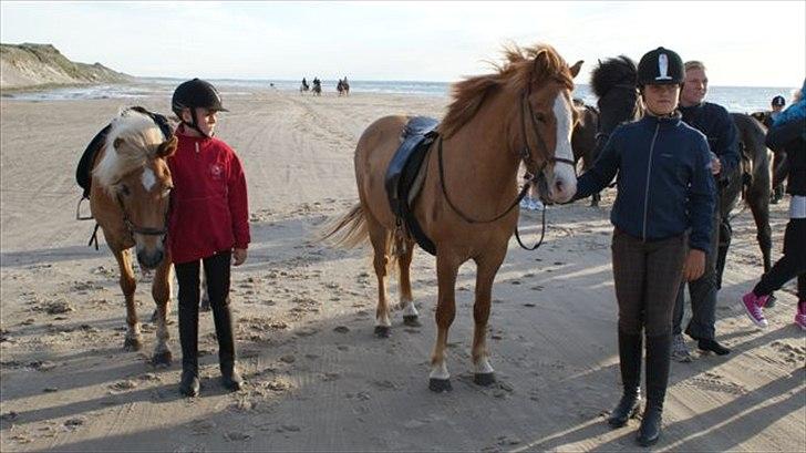 Tur ridning langs stranden i Skagen. billede 48