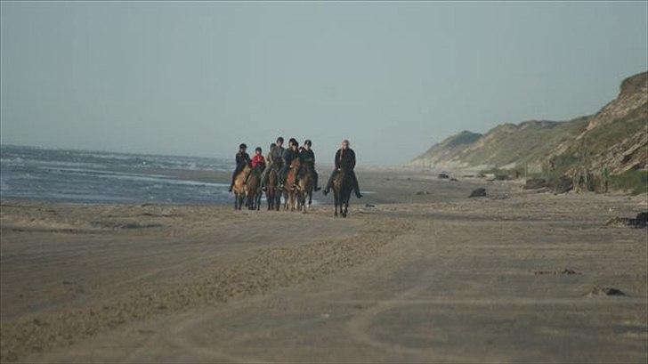 Tur ridning langs stranden i Skagen. billede 49