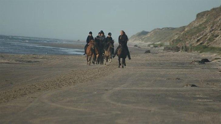 Tur ridning langs stranden i Skagen. billede 50