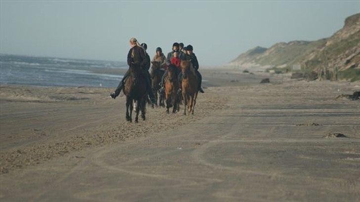 Tur ridning langs stranden i Skagen. billede 51