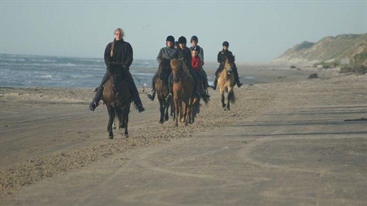 Tur ridning langs stranden i Skagen. billede 52