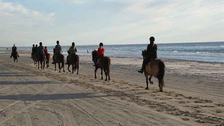 Tur ridning langs stranden i Skagen. billede 54