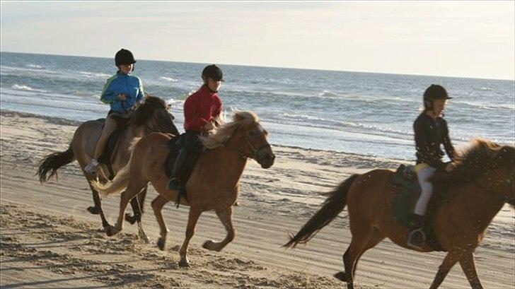 Tur ridning langs stranden i Skagen. billede 58