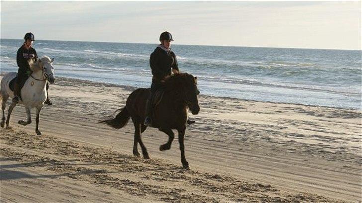 Tur ridning langs stranden i Skagen. billede 59