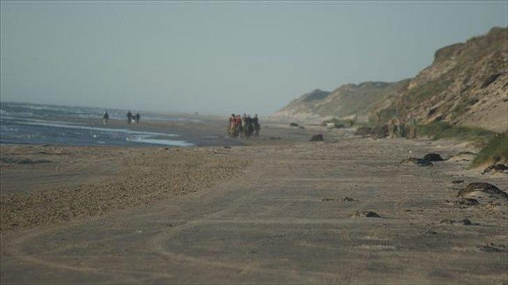Tur ridning langs stranden i Skagen. billede 63