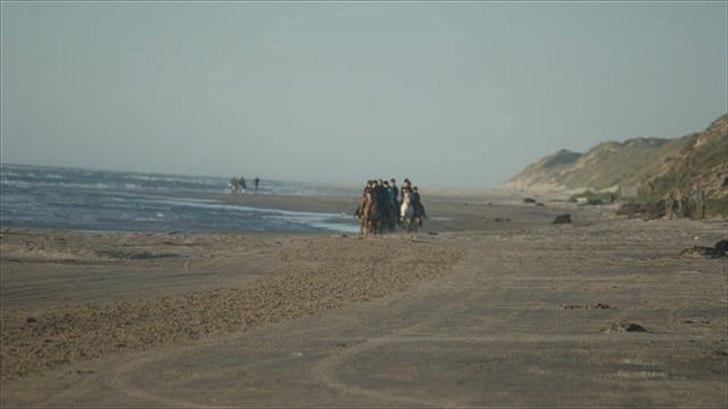 Tur ridning langs stranden i Skagen. billede 64