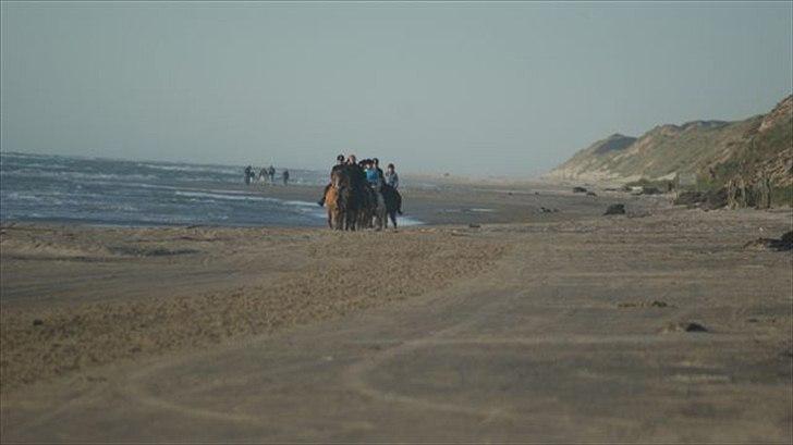 Tur ridning langs stranden i Skagen. billede 65
