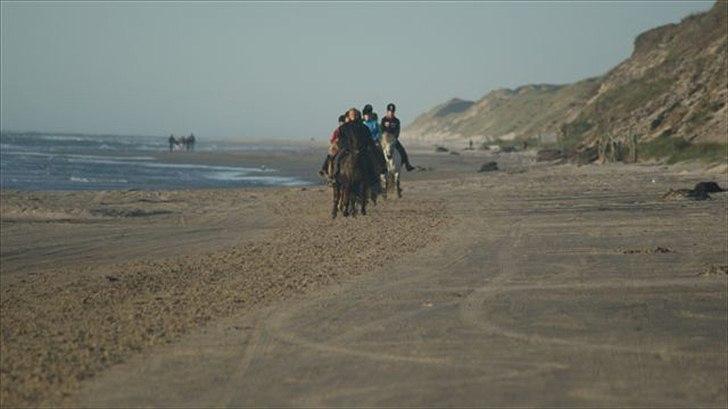 Tur ridning langs stranden i Skagen. billede 66