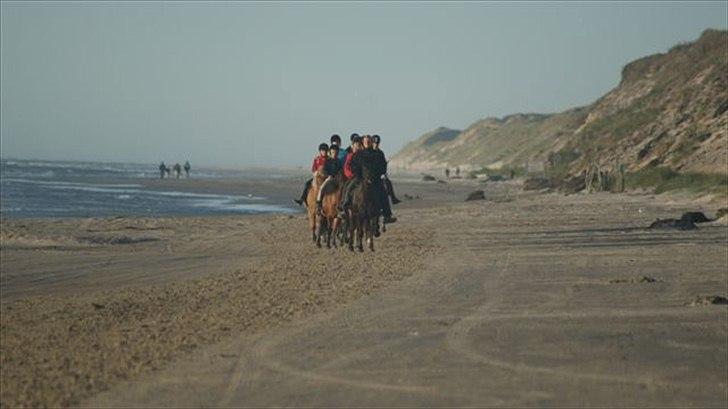 Tur ridning langs stranden i Skagen. billede 67