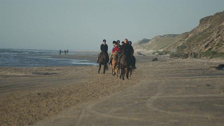 Tur ridning langs stranden i Skagen. billede 68