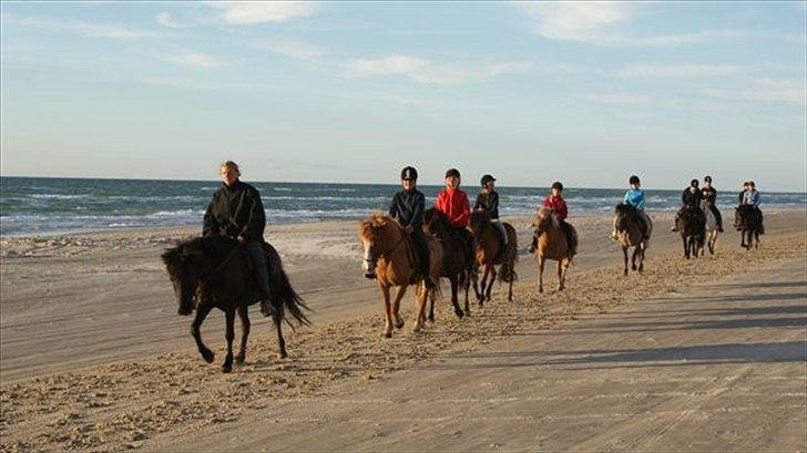 Tur ridning langs stranden i Skagen. billede 69