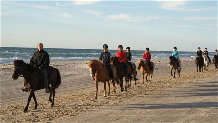 Tur ridning langs stranden i Skagen. billede 70