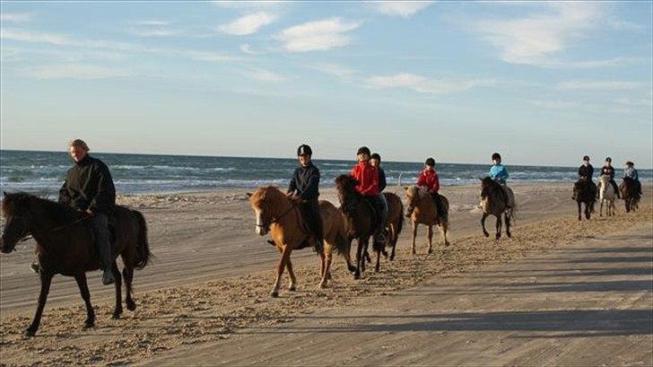 Tur ridning langs stranden i Skagen. billede 71