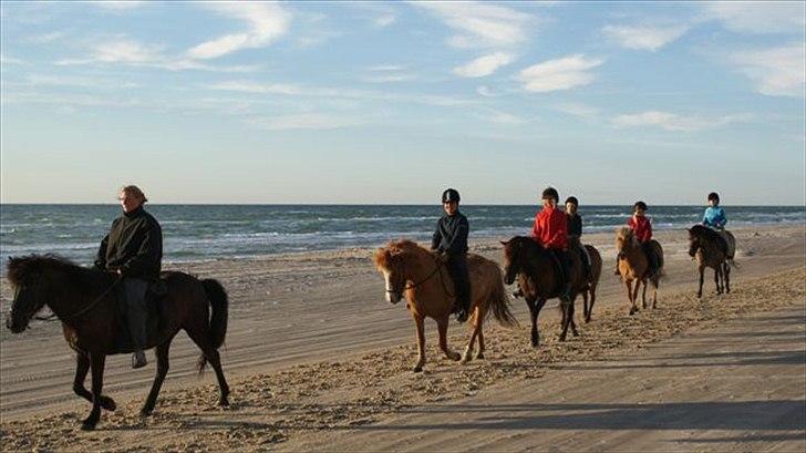 Tur ridning langs stranden i Skagen. billede 72