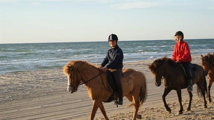 Tur ridning langs stranden i Skagen. billede 73