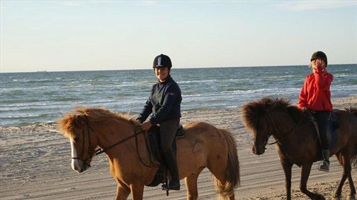 Tur ridning langs stranden i Skagen. billede 74