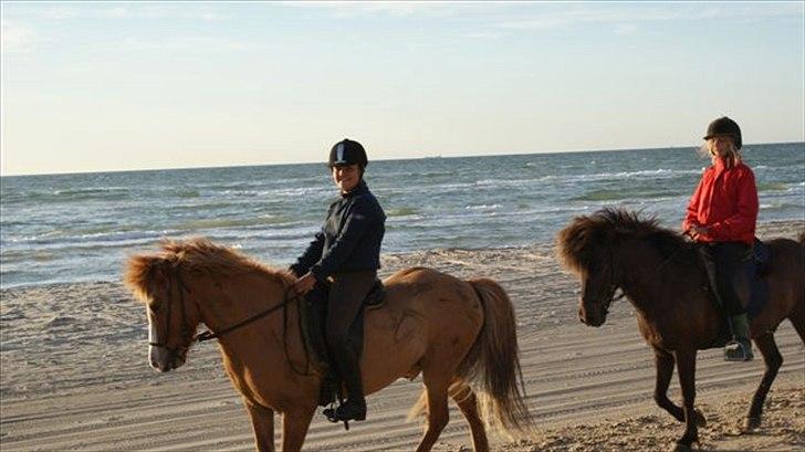 Tur ridning langs stranden i Skagen. billede 75