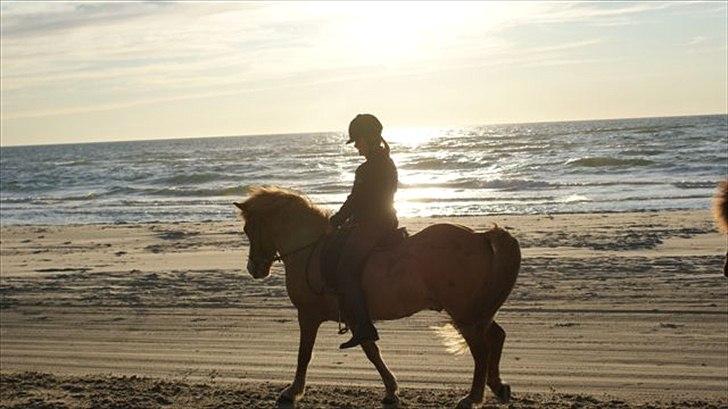Tur ridning langs stranden i Skagen. billede 77