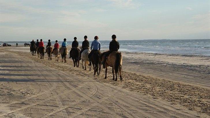 Tur ridning langs stranden i Skagen. billede 83