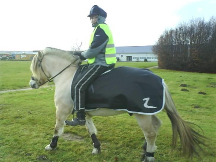 Billeder af mine venner/veninder/nogen jeg holder meget af+mig med nogen:p - Sidrid med DEJLIGE Hansi:-* I er bare skøne. Den dag de skulle flytte rideskole;'( billede 45