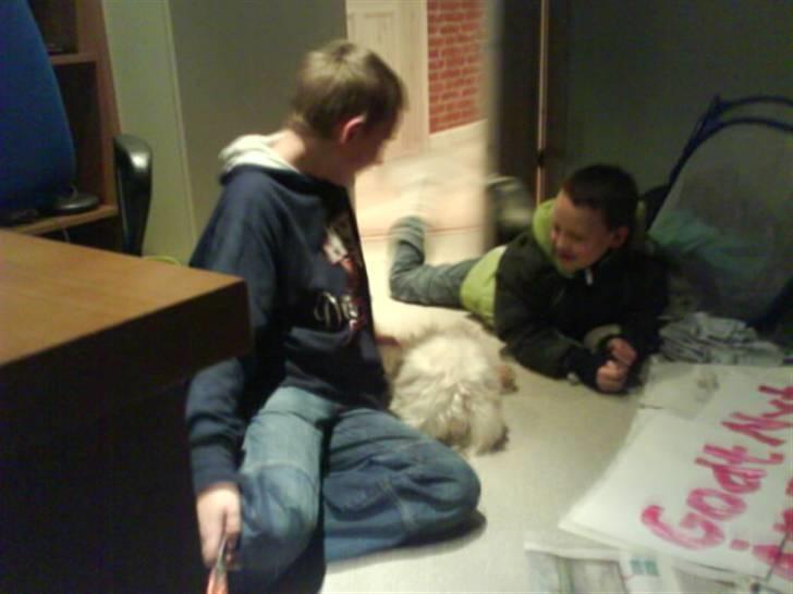 Billeder af mine venner/veninder/nogen jeg holder meget af+mig med nogen:p - Igen billede 64