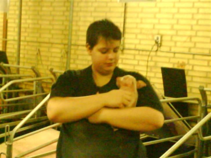 Billeder af mine venner/veninder/nogen jeg holder meget af+mig med nogen:p - Linetta med en ikke så gammel gris:P billede 70