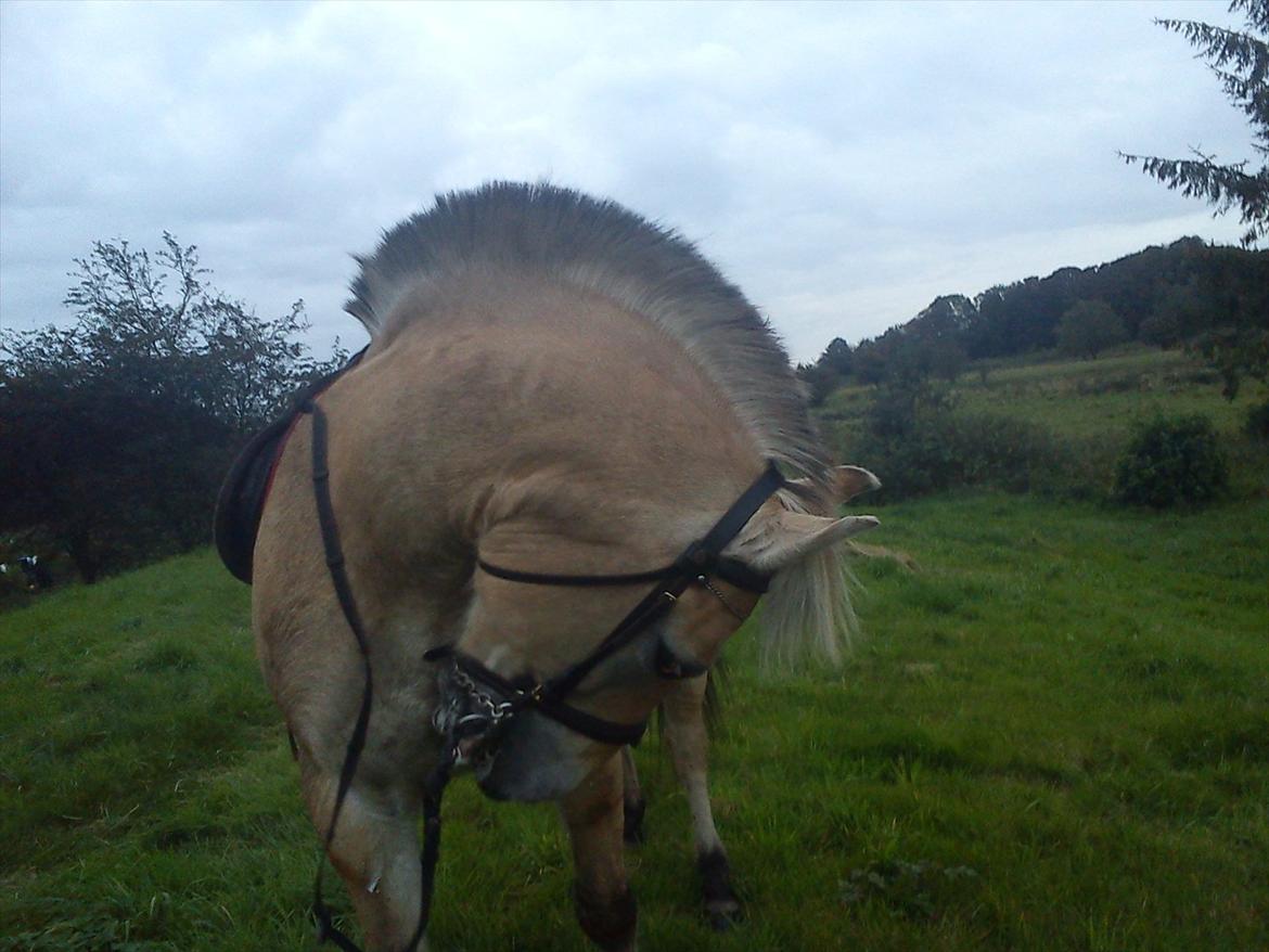 Oliver i soldaterskoven 2 gang billede 4