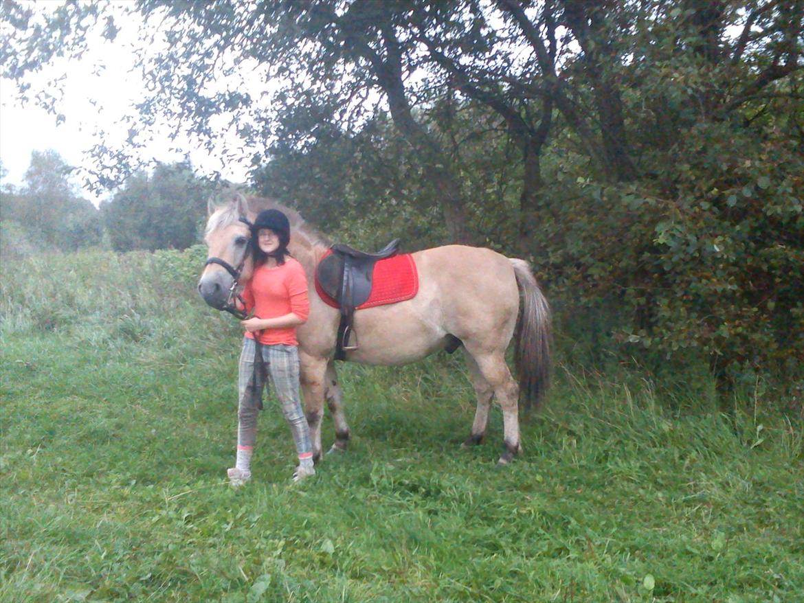 Oliver i soldaterskoven 2 gang billede 6