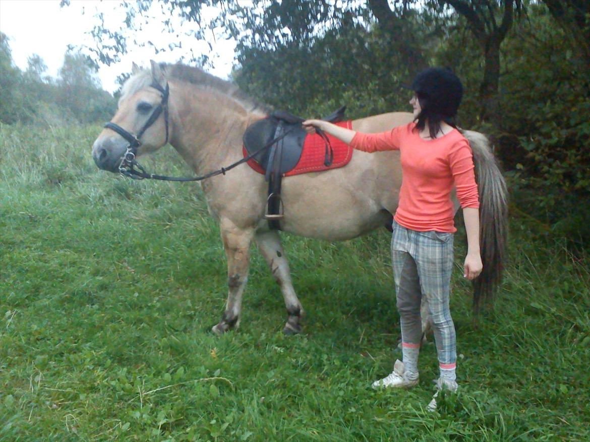 Oliver i soldaterskoven 2 gang billede 7