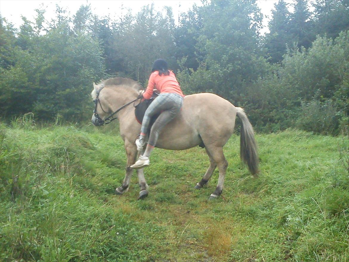 Oliver i soldaterskoven 2 gang billede 20