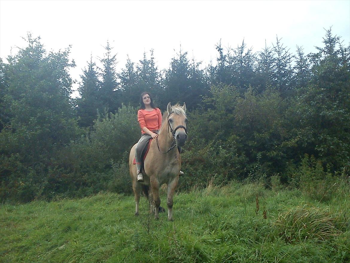 Oliver i soldaterskoven 2 gang billede 21