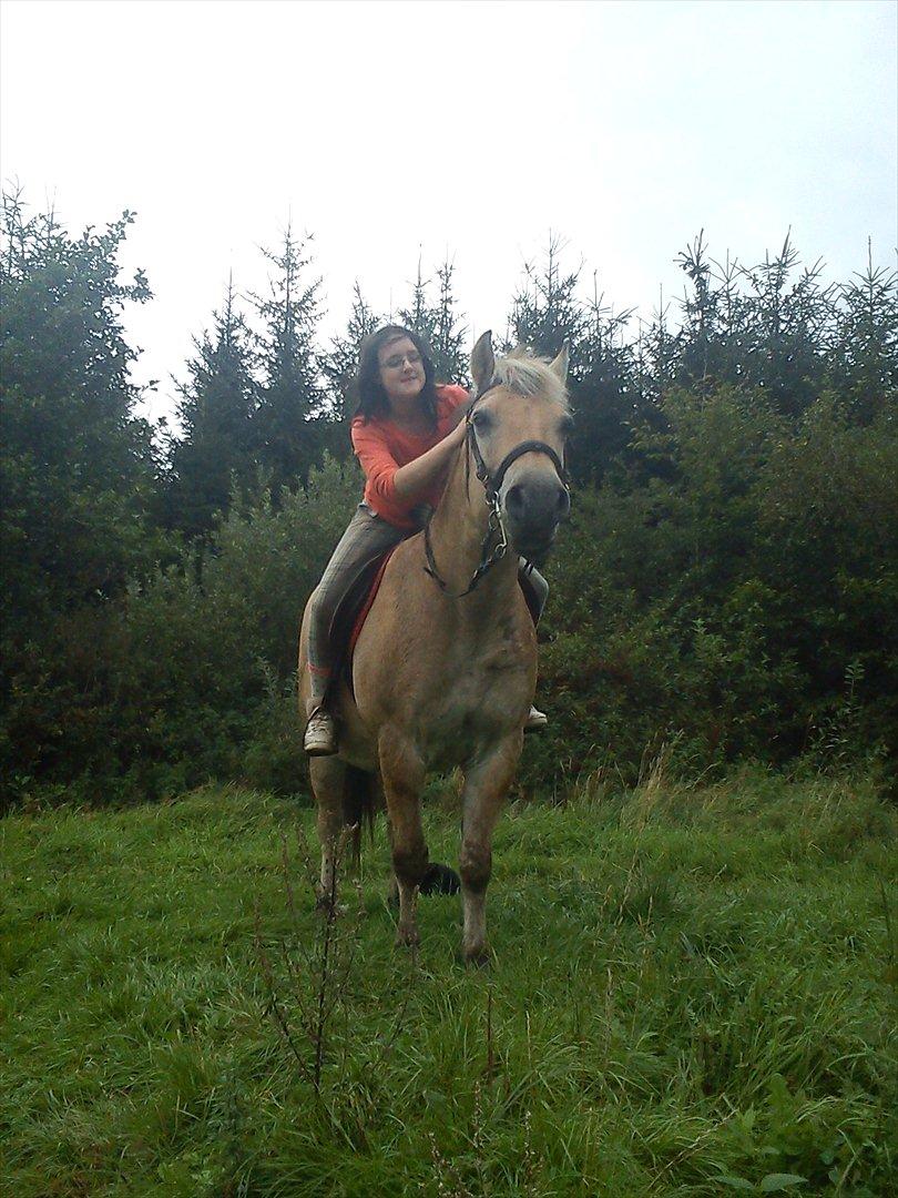 Oliver i soldaterskoven 2 gang billede 22