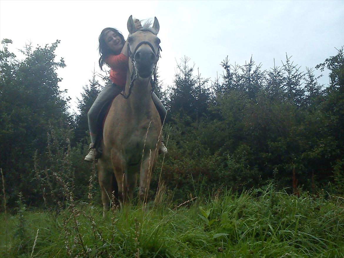 Oliver i soldaterskoven 2 gang billede 23