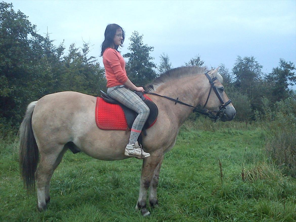 Oliver i soldaterskoven 2 gang billede 24