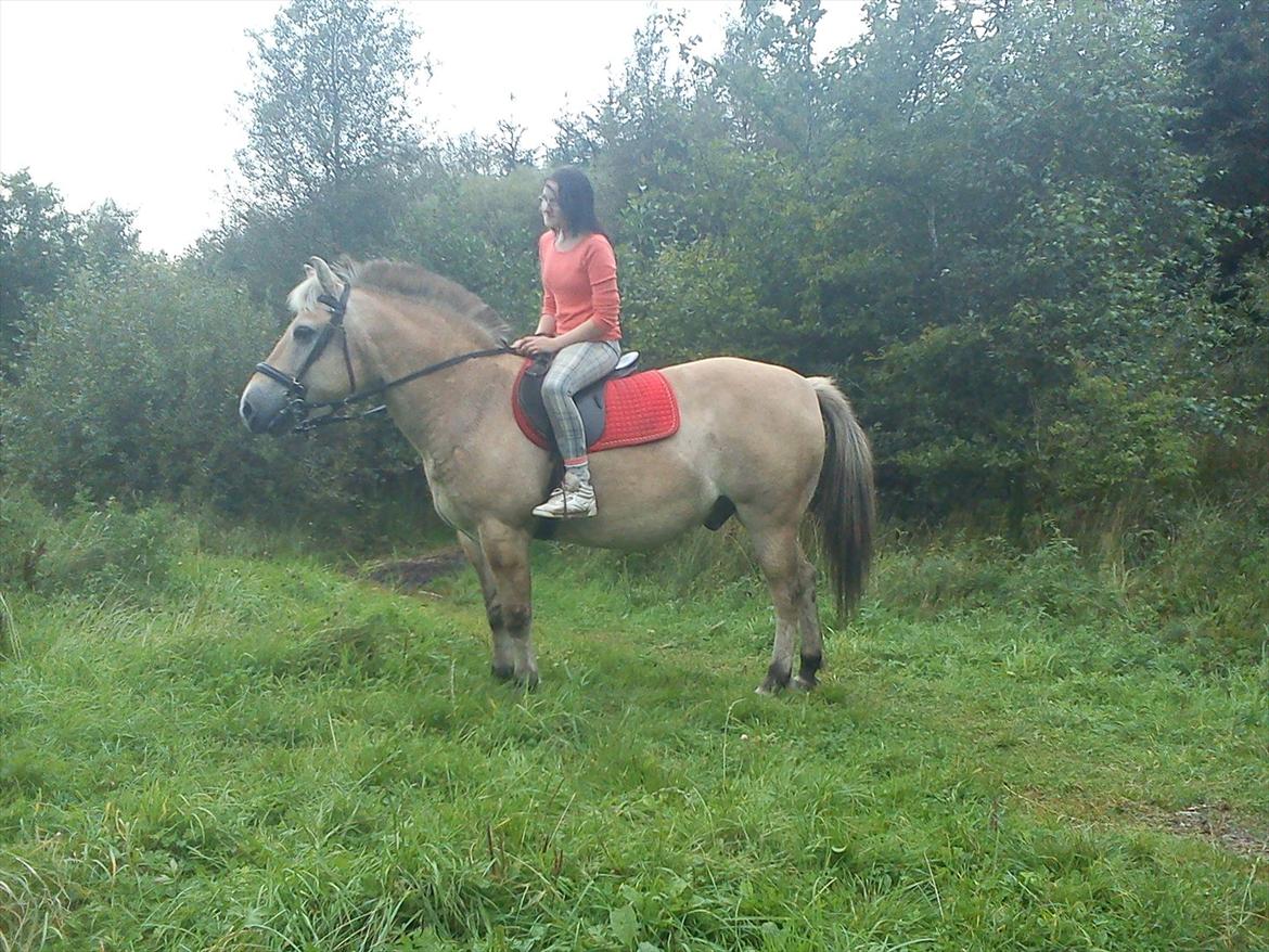 Oliver i soldaterskoven 2 gang billede 25