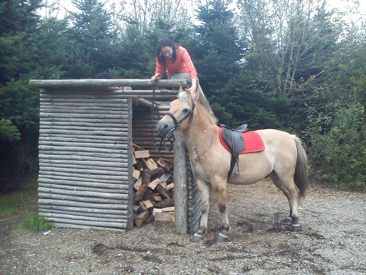 Oliver i soldaterskoven 2 gang billede 27