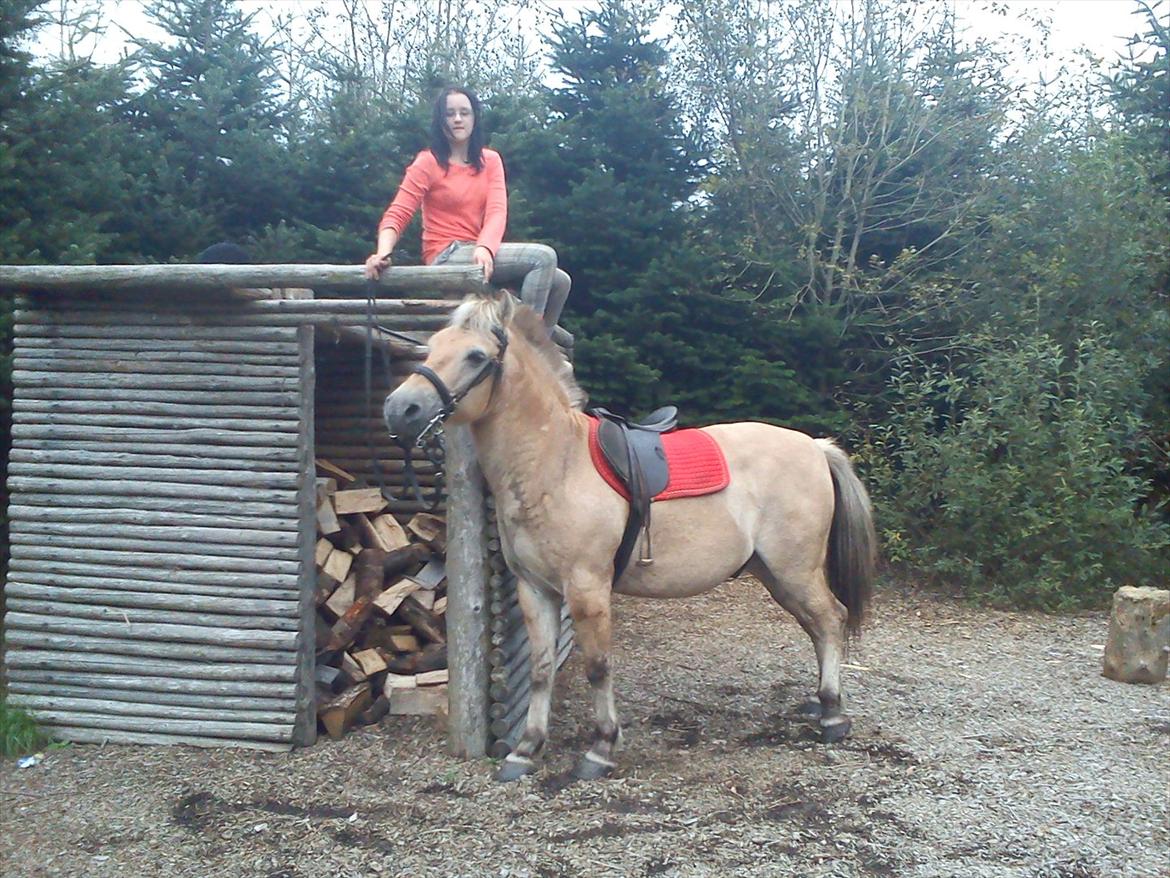 Oliver i soldaterskoven 2 gang billede 28