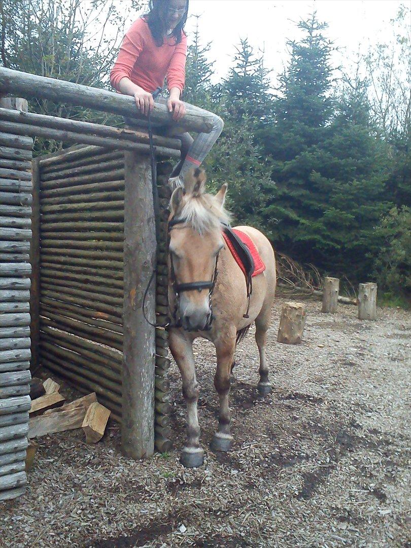 Oliver i soldaterskoven 2 gang billede 29