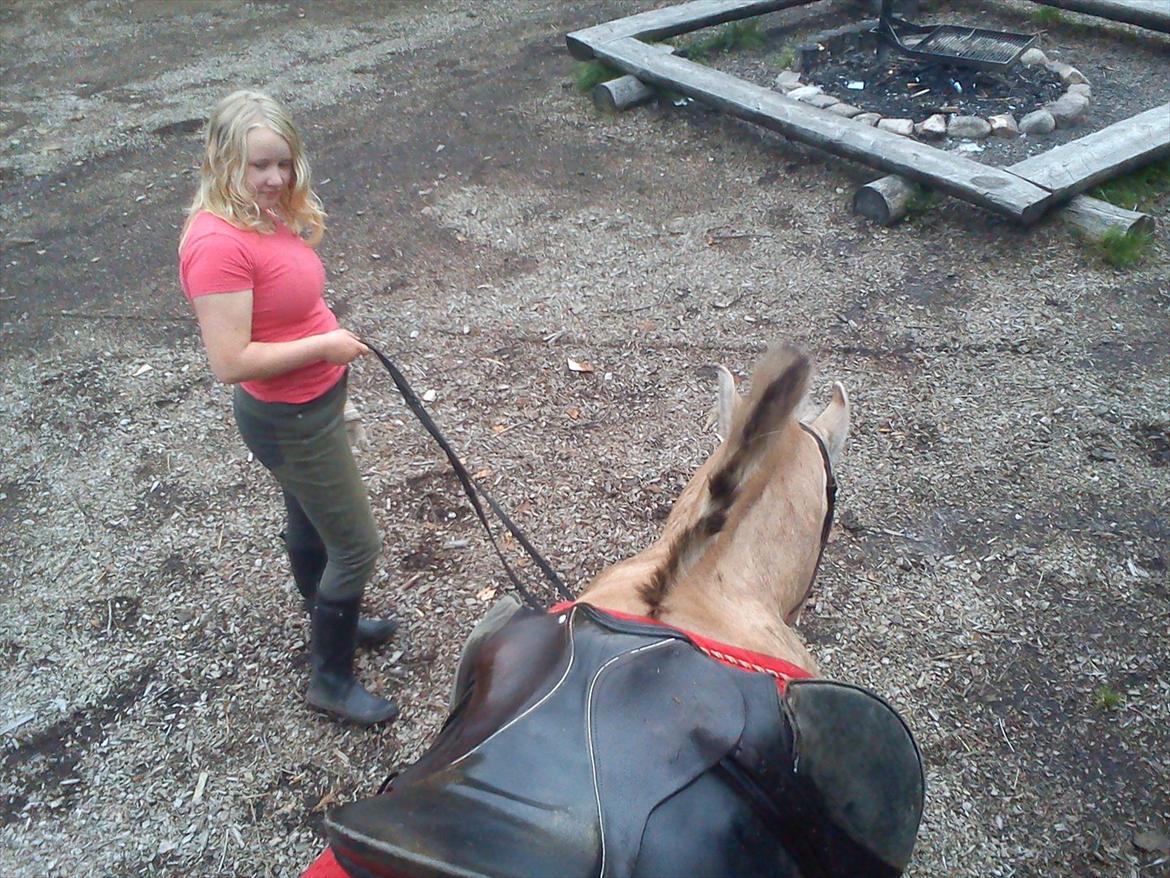 Oliver i soldaterskoven 2 gang billede 33