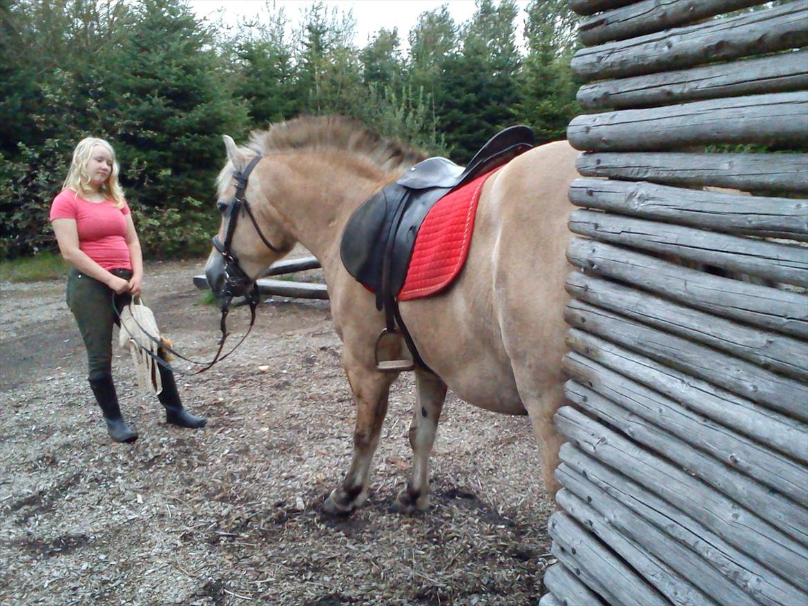 Oliver i soldaterskoven 2 gang billede 41